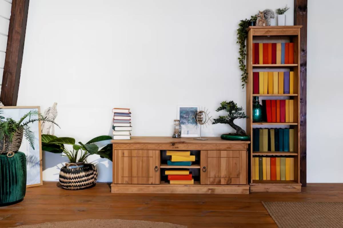 Stylish room featuring a wooden TV stand, colorful bookshelves, potted plants, and framed artwork against a white wall.